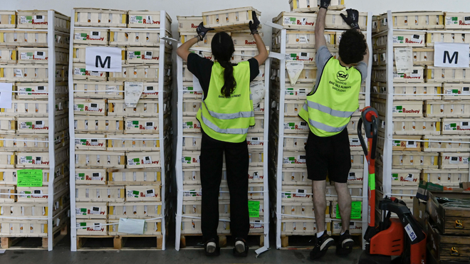 Banco de Alimentos