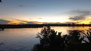 Belleza del Amazonas