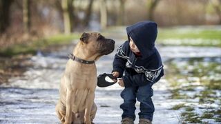 ¿Un perro vale más qe un niño?