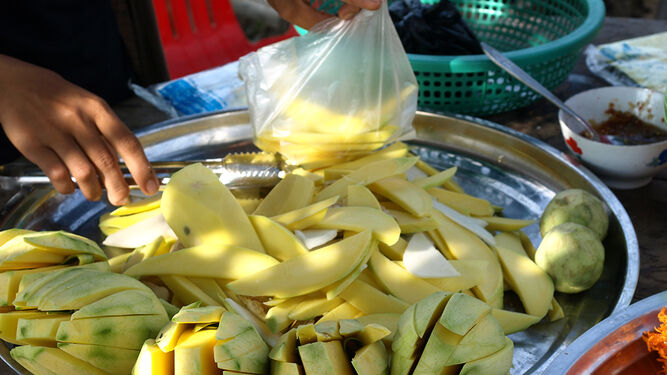 Camboya