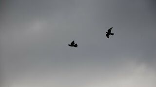 Camionar junto con el Espíritu Santo