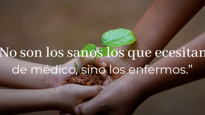 Jesús y los enfermos