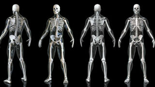 Anatomía de la Iglesia