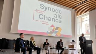 Synodale als Chance. Junio 2023
