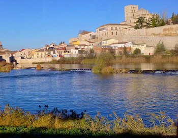 zamora