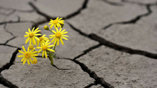 Aunque no veamos los frutos, los caminos se van abriendo