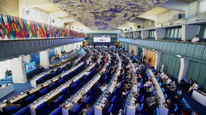 Plenaria de la FAO en Roma
