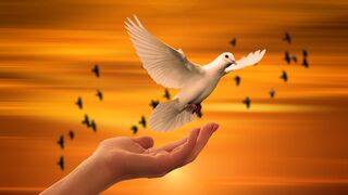 El lifícil camino de la libertad