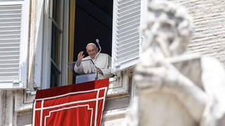 Francisco, tras el anuncio del consistorio el 9 de julio