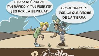 Somos SEMILLA pero también TIERRA…