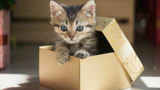 Para qué este blog: una propuesta de itinerario