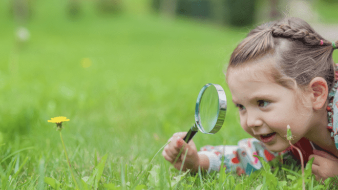 Partir de la realidad