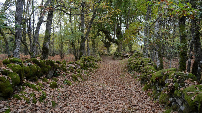 Vilar de Santos. Ourense