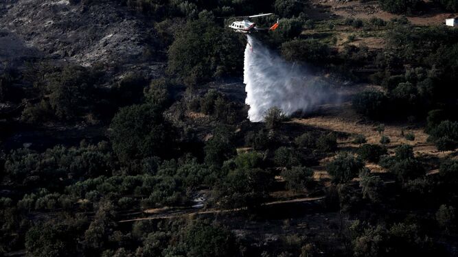 Un helicóptero lucha contra los incendios en Grecia