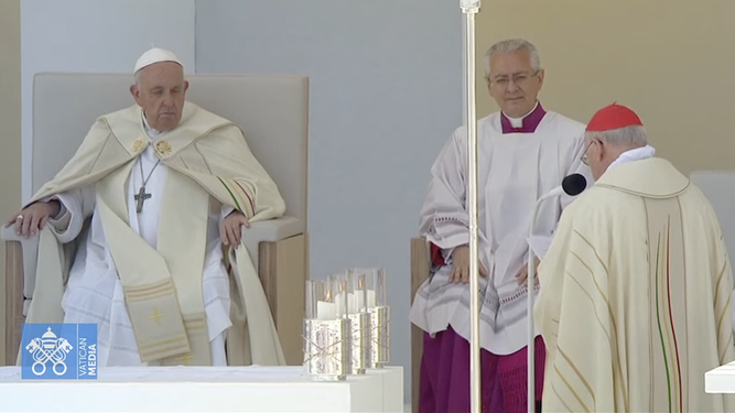 El cardenal Farrel se dirige al Papa