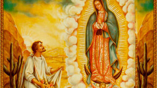 Juan Diego y la Guadalupana