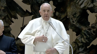 Francisco, durante una audiencia general