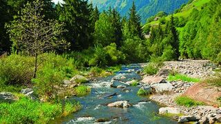 El cuidado de la creación