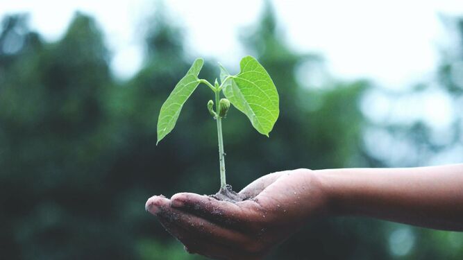 Ecología integral