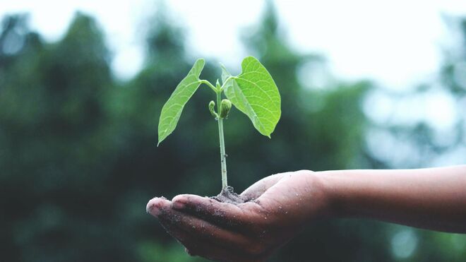 Ecología integral