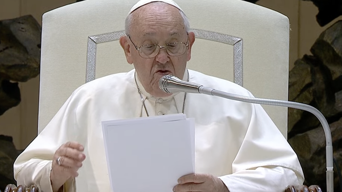 Francisco, en su catequesis de la audiencia de los miércoles