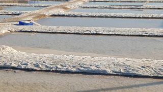 Salinas de Isla Cristina (Huelva)