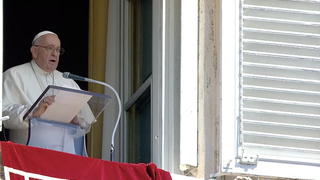 Francisco, en el ángelus