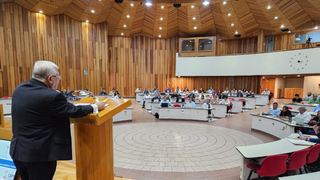 Mario Paredes en México