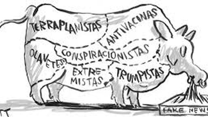 vaca(1)