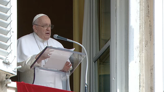 Francisco, durante la oración del Angelus de hoy