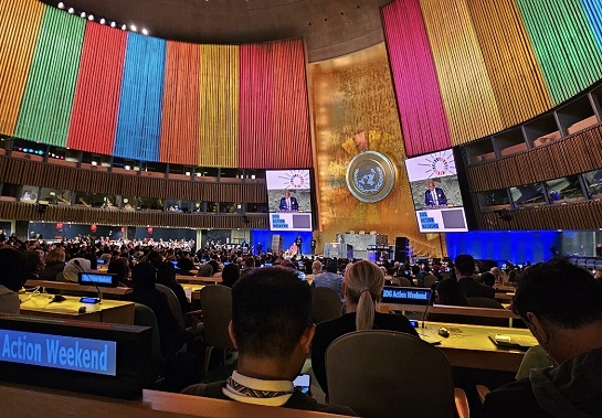 Asamblea General de las Naciones Unidas