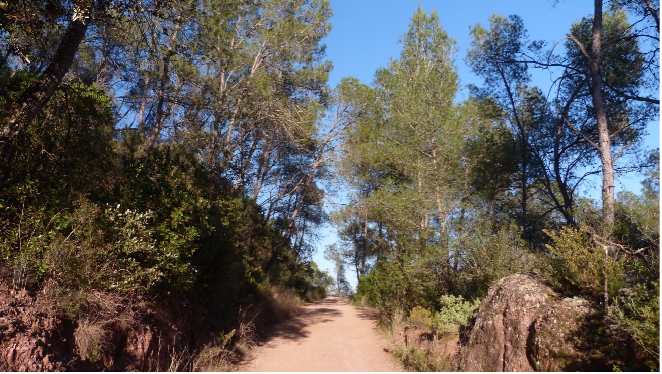 Se hace camino al andar: José Melero Pérez