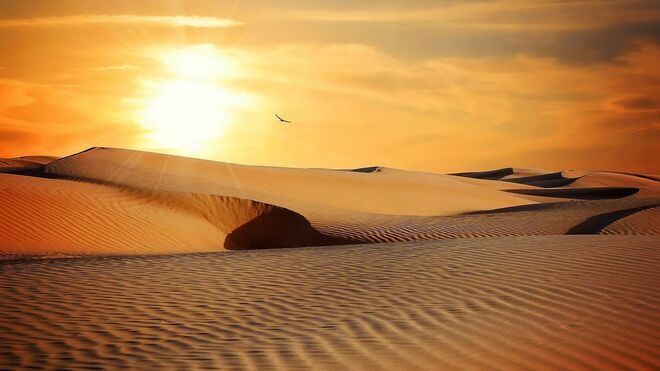 Días de desierto