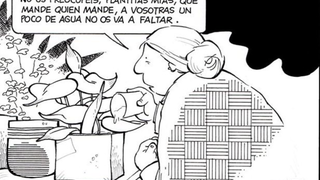 Plantas y políticos