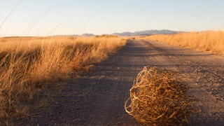 Parca y manca cosecha de clérigos