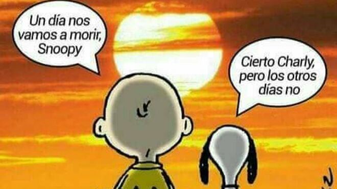 Celebrar la vida
