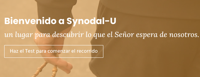 Synodal-U