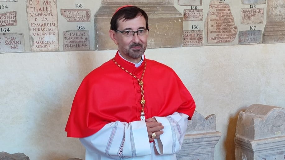 Cardenal Cobo