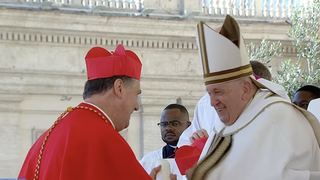 El Papa sonríe con el cardenal Artime