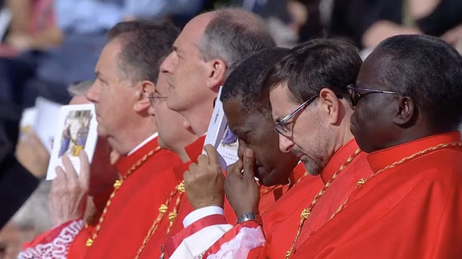 Cobo, entre los nuevos cardenales, escucha al Papa