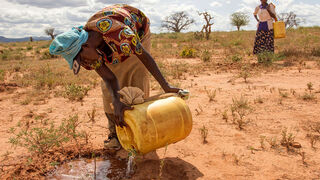 Laudate Deum: Fe y cuidado de la casa común, dos realidades inseparables