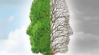 Una nueva cosmovisión