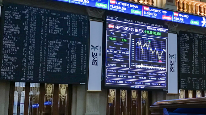 Bolsa