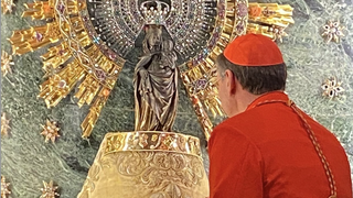 El cardenal Américo Aguiar, ante la Virgen del Pilar