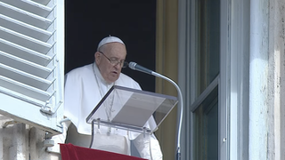 El Papa, "con mucho dolor" por la guerra en Gaza