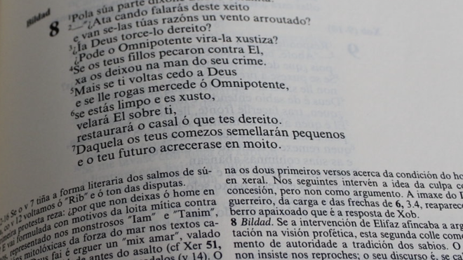 La Biblia en gallego
