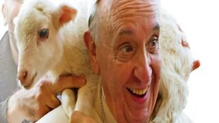 papa francsicco oveja