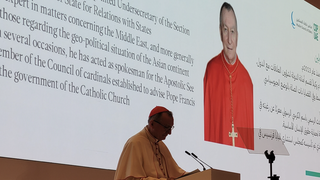 Parolin en la cumbre