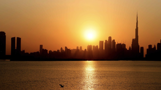 El Papa hablará ante los líderes de la COP28