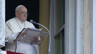 Francisco, hoy, en el Angelus